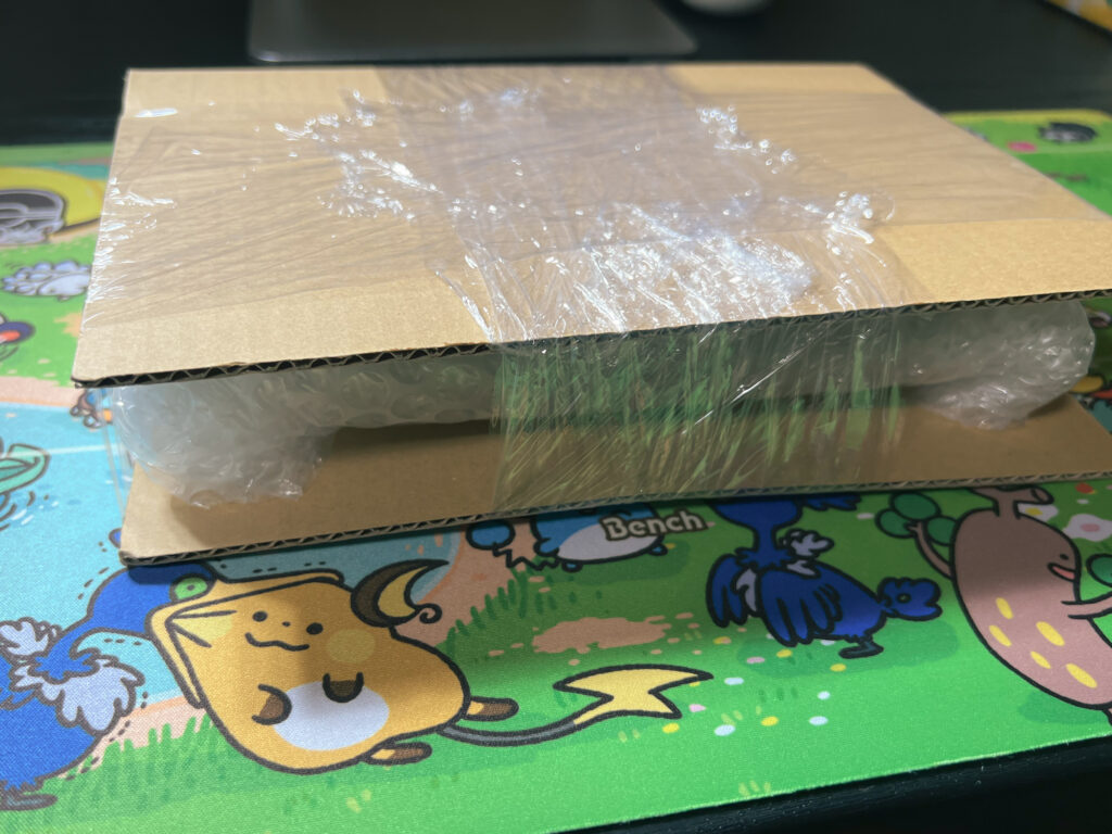 段ボールでサンドしたswitch