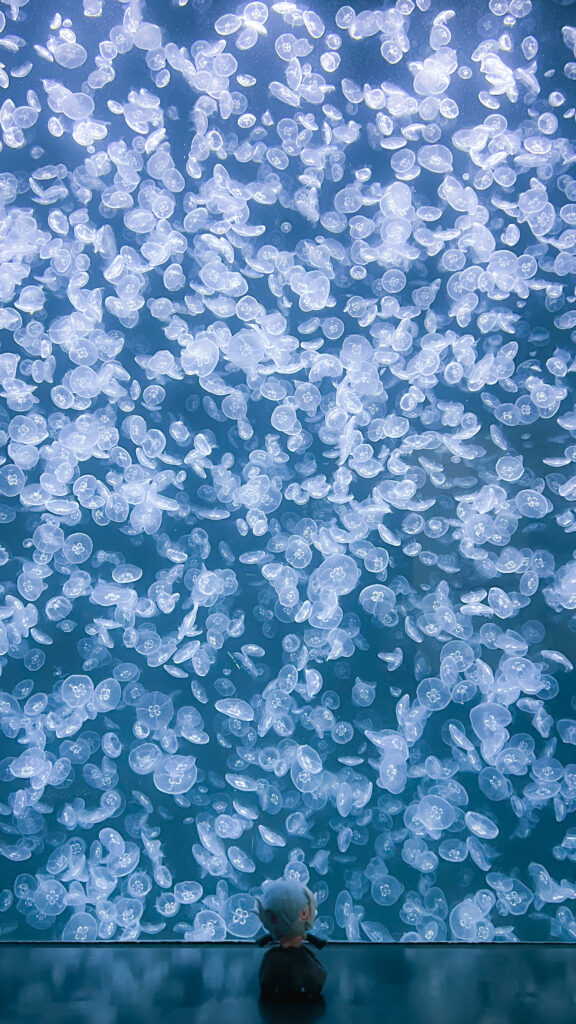 一面にクラゲが舞う水槽