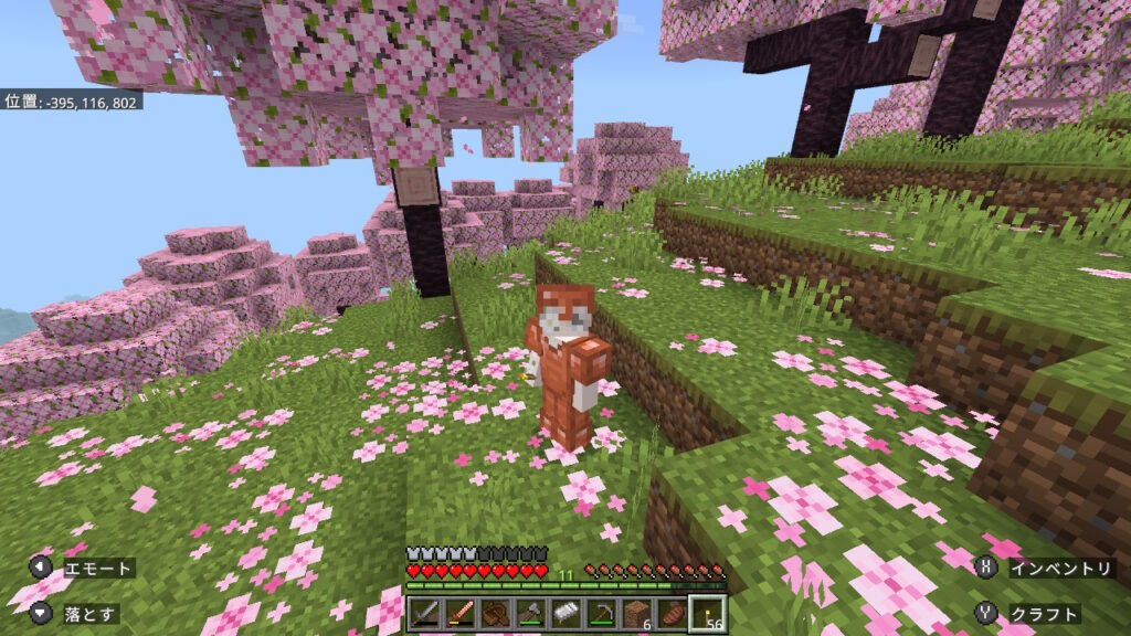 桜バイオームで記念撮影