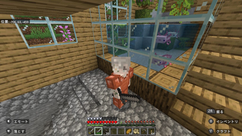 ウパ水槽の前で銅装備のペティ