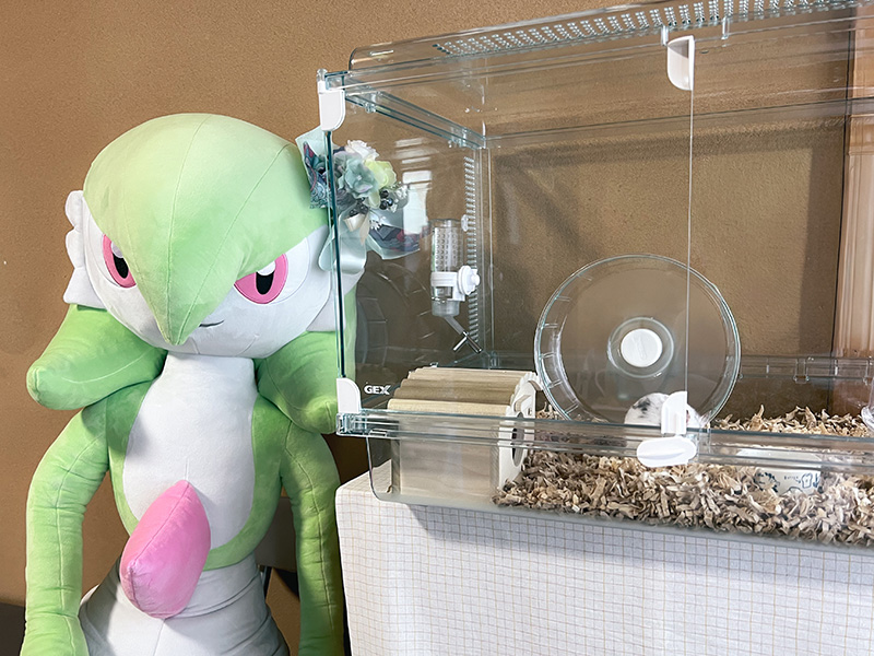 サーナイトとおにぎり