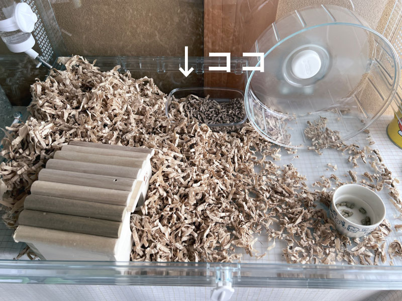 回し車の横がトイレ